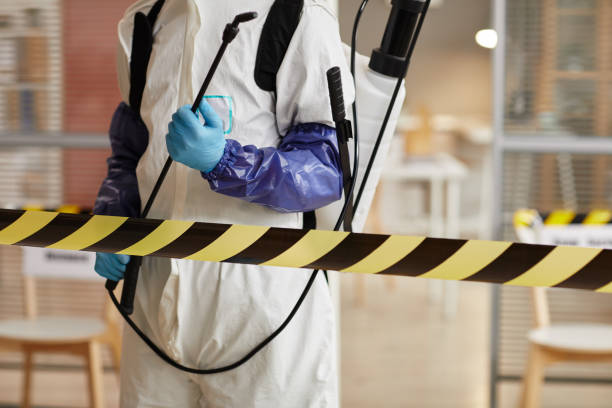 Professional Sewage Cleanup technician working in Sanbornton, NH