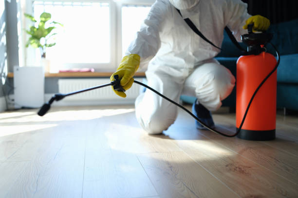 Reliable Sewage Cleanup contractor in Sanbornton, NH by Trauma Clean Pros